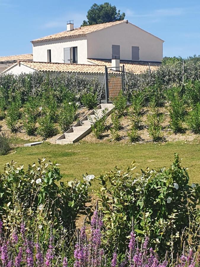 Onze Villa In Provence, Mont Ventoux, New Luxury Villa, Private Pool, Stunning Views, Outdoor Kitchen, Big Green Egg Malaucène Exteriör bild