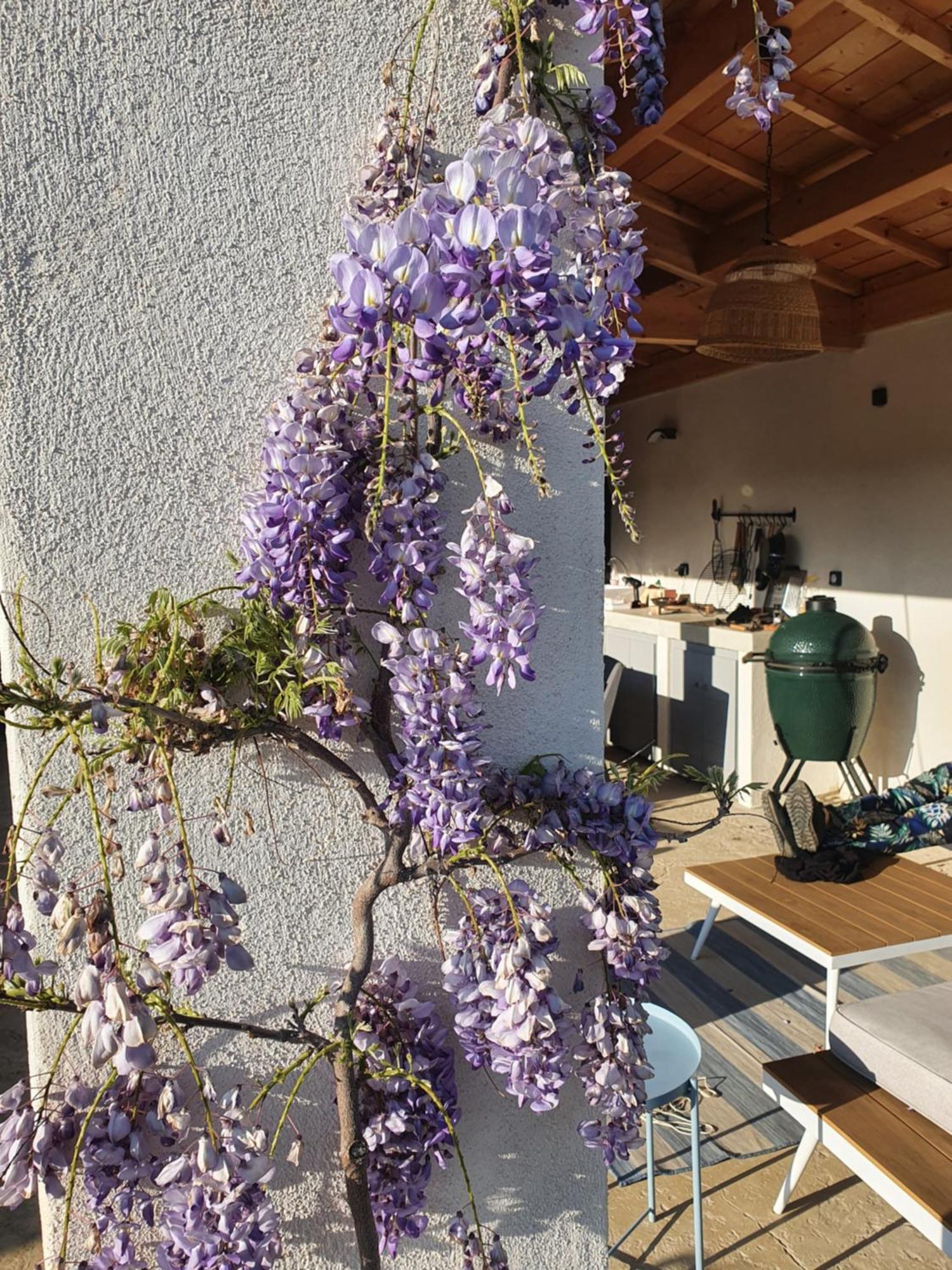 Onze Villa In Provence, Mont Ventoux, New Luxury Villa, Private Pool, Stunning Views, Outdoor Kitchen, Big Green Egg Malaucène Exteriör bild